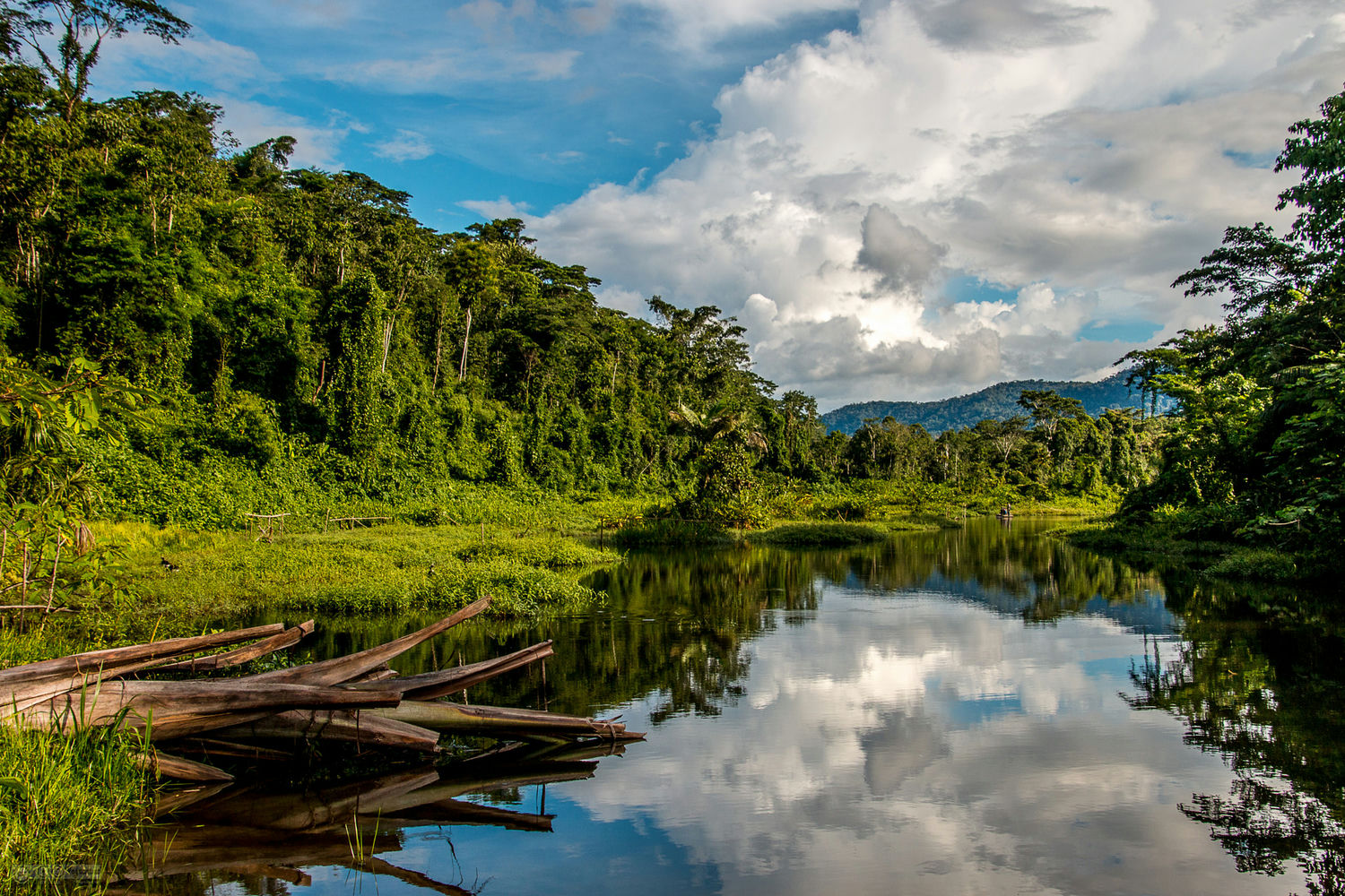 Manu_National_Park_2@vagrant