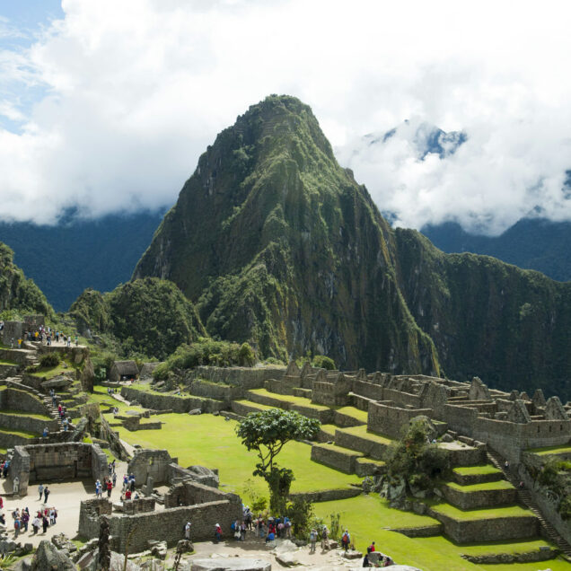 Machu Picchu