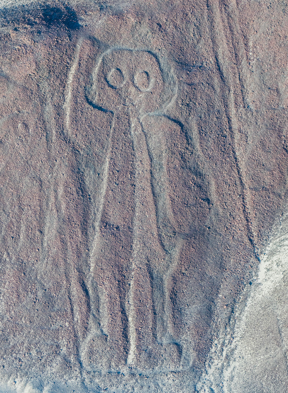 nazca_2@delso