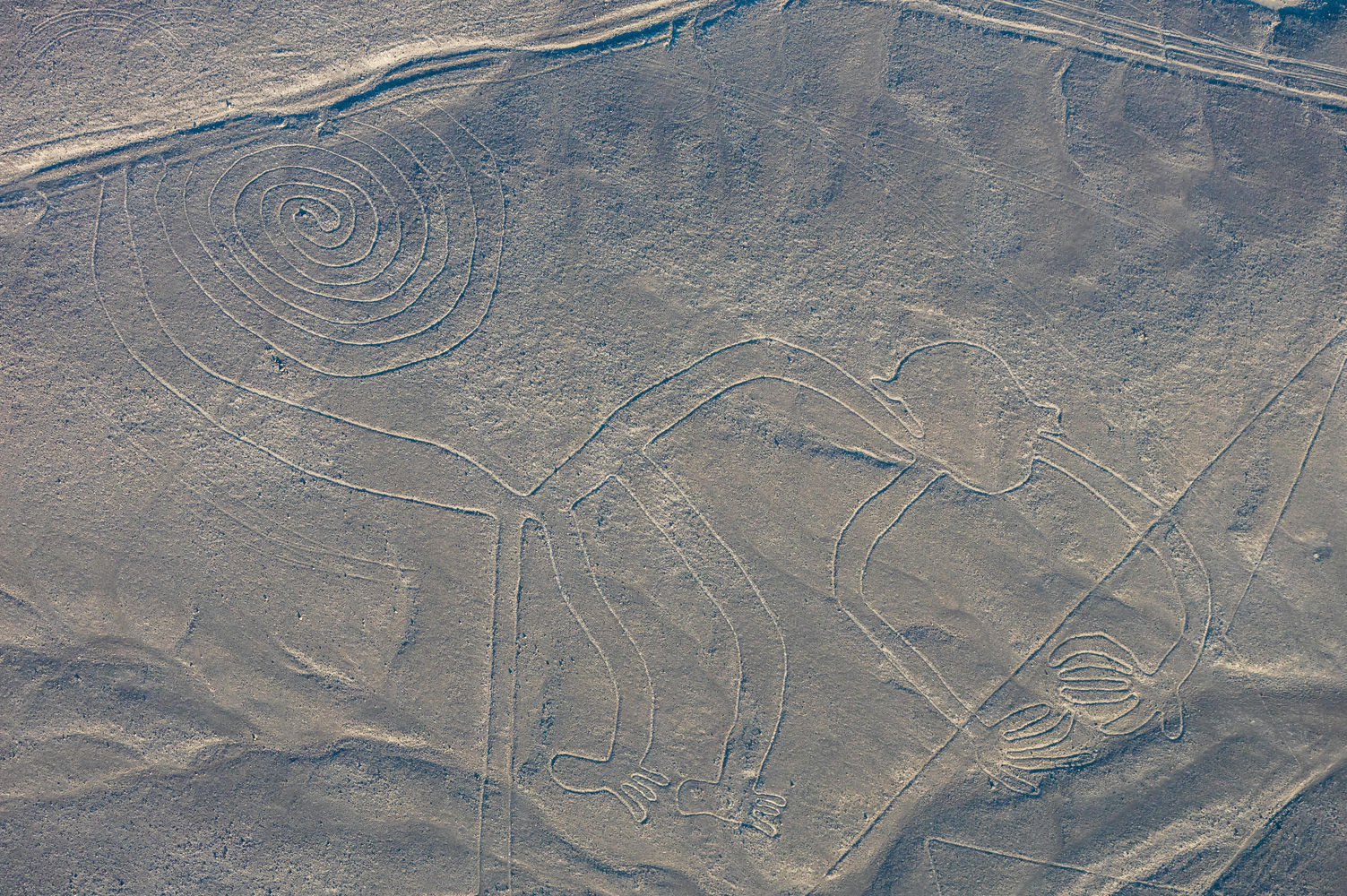 nazca_3@delso