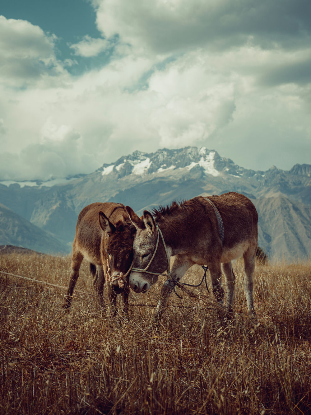 sacred_valley_2@antropologo-en-ruta